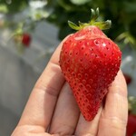 姫路ハートフル観光農園 - 