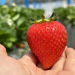 姫路ハートフル観光農園 - 