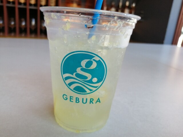 GEBURA SISTER photo 4