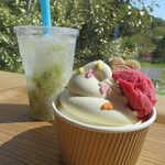My Sunshine - 料理写真:フルーツソーダ(キウイフルーツ)＆フランボワーズソフトクリーム