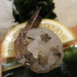 治鮨 - 26年2月　車海老