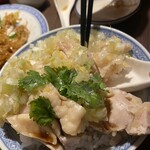 楽関記 - 白ネギたっぷり。ご飯にからめて…はい最高