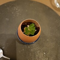 新華 - 