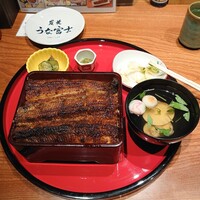 炭焼 うな富士 有楽町店 - 上うな重