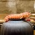 鮨旬美西川 - 料理写真:茶釜の湯気と余熱で火を通した車海老