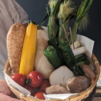 厳選焼鳥 一石三鳥 本店 - 