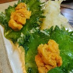 四十八漁場 - 
