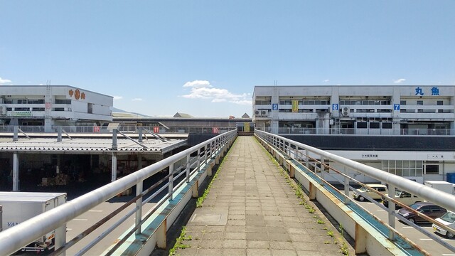 いちば食堂 - 漆山（海鮮）の写真