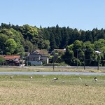 シェリーカフェ - 