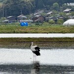 シェリーカフェ - 