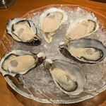 Oyster Lab - 
