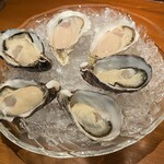 Oyster Lab 横浜駅前店 - ３産地からの生牡蠣
