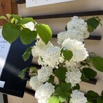 生粉打蕎麦 玄太 - 