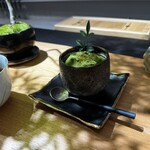 彩盆の間 - 盆栽プリン