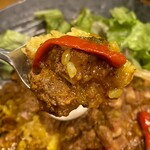 SPICY CURRY 魯珈 - 