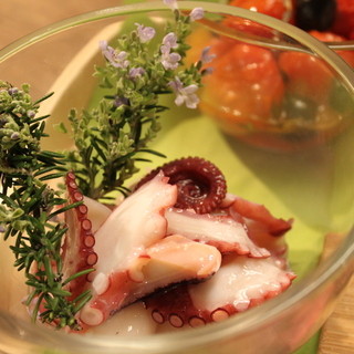 ポッシュポピーノ_2