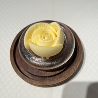 ジョンティ アッシュ - 