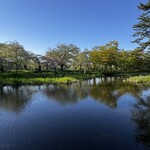 シーグランス - 