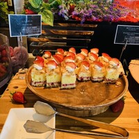 XEX TOKYO / Salvatore Cuomo Bros. - 
