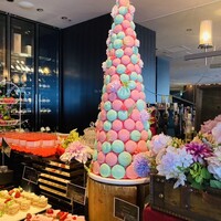 XEX TOKYO / Salvatore Cuomo Bros. - 