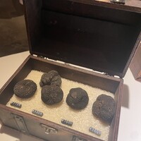マルゴット エ バッチャーレ - 