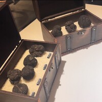 マルゴット エ バッチャーレ - 