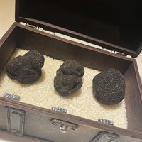 マルゴット エ バッチャーレ - 