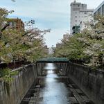 STARBUCKS RESERVE ROASTERY TOKYO - 