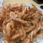 さかえ食堂 - 桜海老かき揚げ丼（味噌汁付き）　　1100円