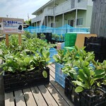 門田商店 かどみせ - 