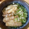 葉隠うどん