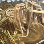 Soba Miyakawa - 