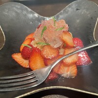 オッジ ダルマット 西麻布店 - 