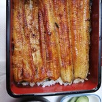 Unagi Fujita - 