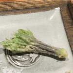 江戸前晋作 - 伊那のコシアブラ