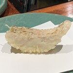 江戸前晋作 - のどぐろ