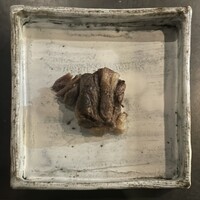 NoruraDa - 