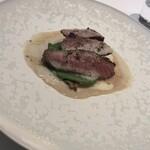 シャントレル - 