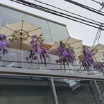 HAUTE COUTURE CAFE OMOTESANDO - 