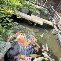 炭焼うな富士 白壁別邸 - 