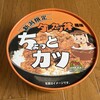 塩沢石打サービスエリア 上り ショッピングコーナー