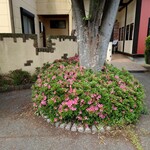 アルバトロス - 