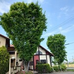 アルバトロス - 