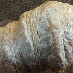 ブルーベリー - コルネで～～っす＾＾；；