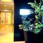 イル ネッビオ - 