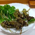 山の仙人 淳  - わさび芋部分