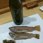 山の仙人 淳  - 天然のあまごとワサビ