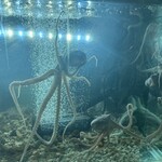 韓国料理 ナッチャン - 