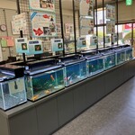 ヴェルサイユ - こちらにも一杯　※ 弥富市歴史民族資料館