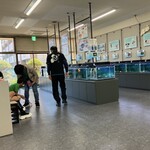 ヴェルサイユ - 金魚が一杯　※ 弥富市歴史民族資料館